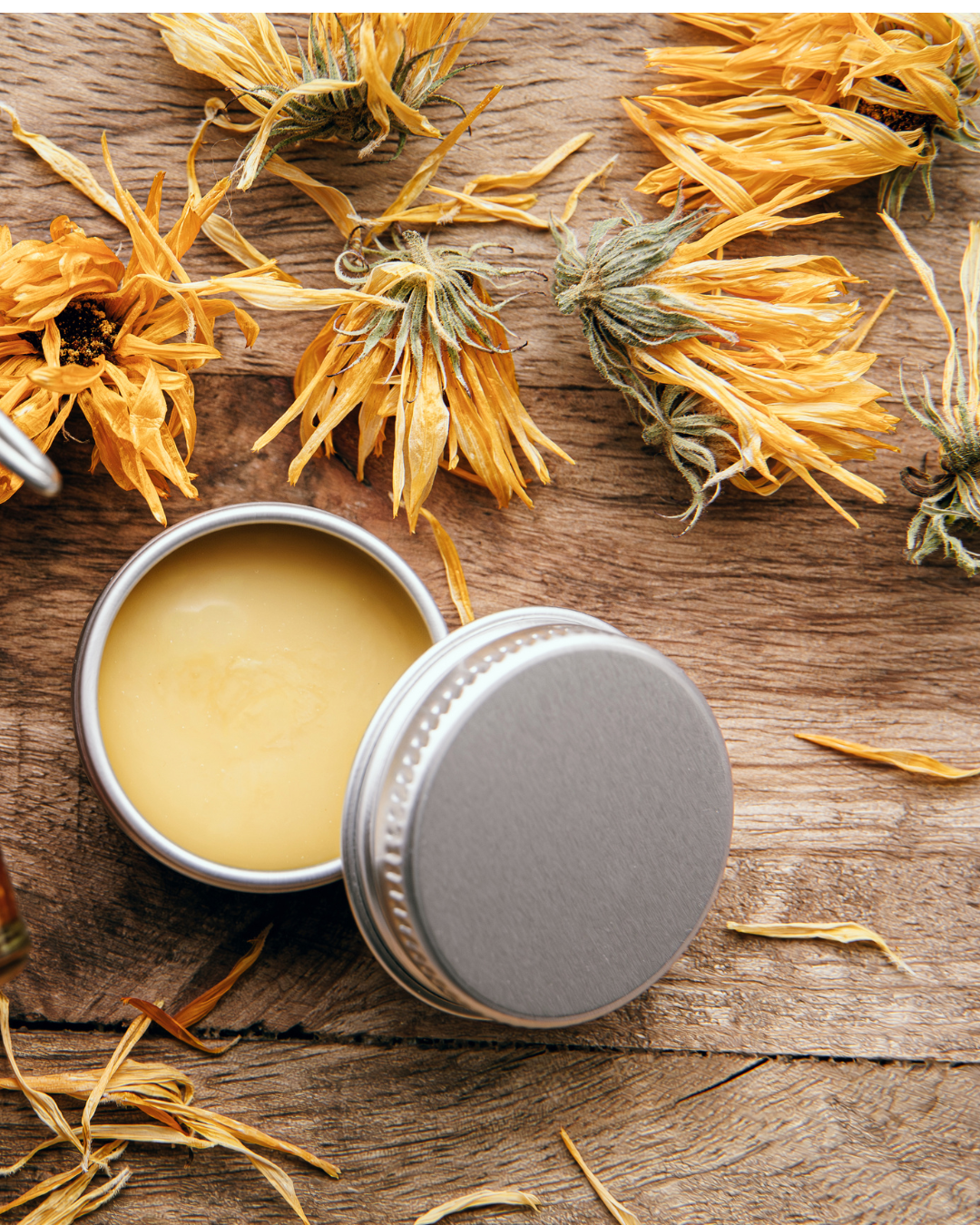 The Complete Herbal Medicine Making Workshop - July 18