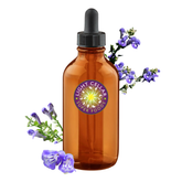 Skullcap Tincture
