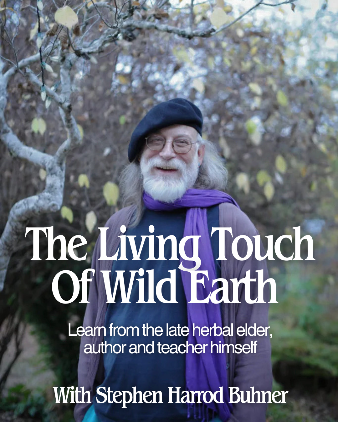 The Living Touch of Wild Earth by Stephen Harrod Buhner