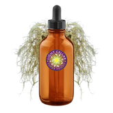 Usnea Tincture