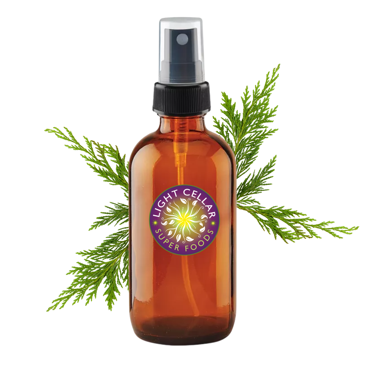 Western Red Cedar Hydrosol