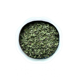 Wild Alberta Bergamot