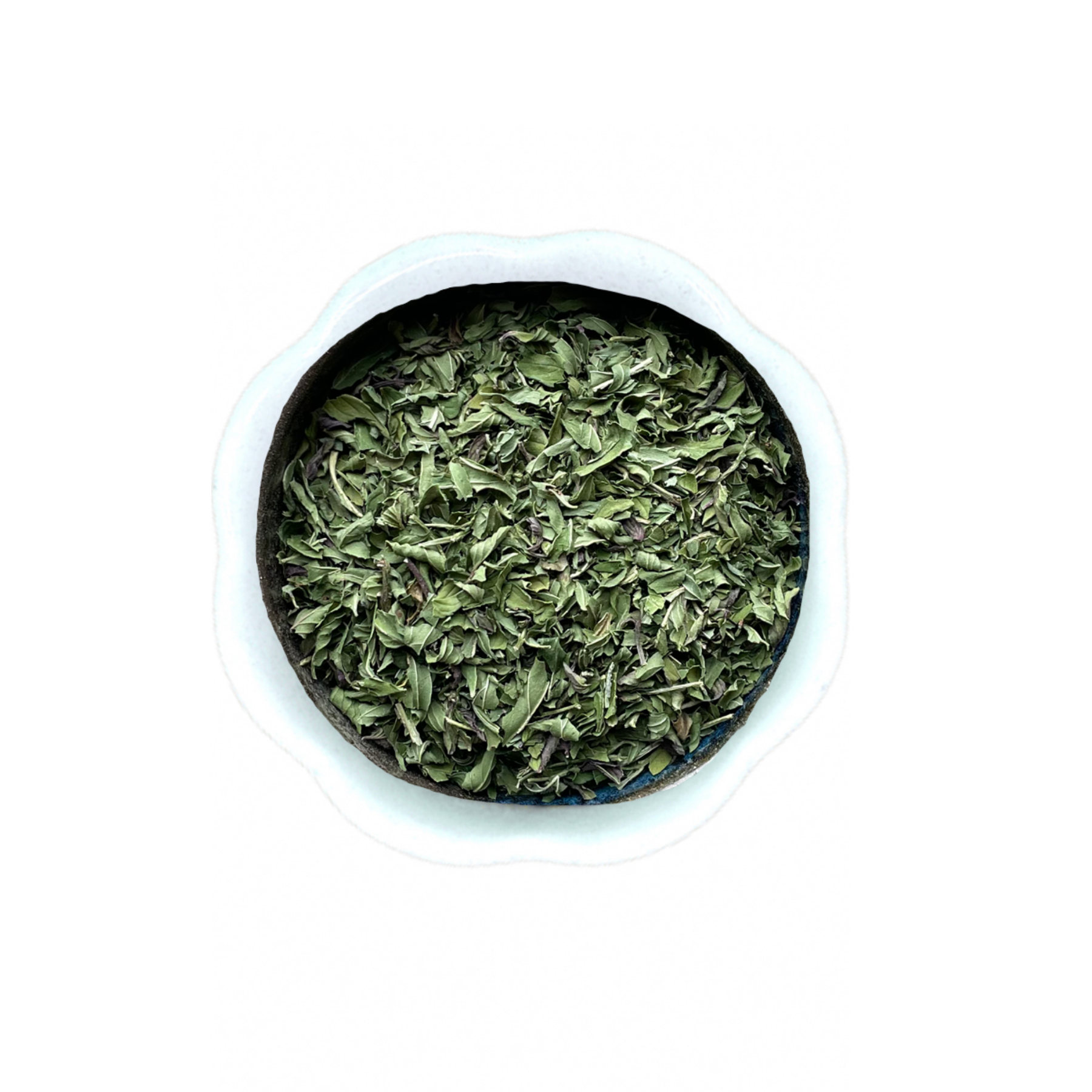 Wild Alberta Bergamot