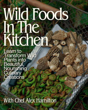 Wild Foods in the Kitchen - July 12