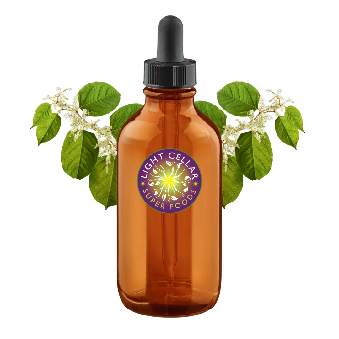 Wild Japanese Knotweed Tincture