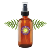 Yellow Cedar Hydrosol