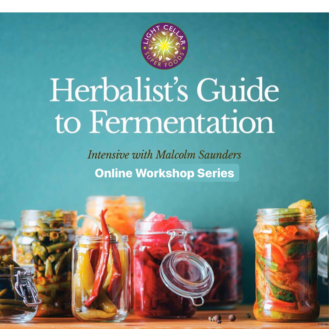 the Herbalists Guide to Fermentation with Malcolm Saunders