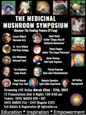 Medicinal Mushroom Symposium x 3: 2021, 2022, 2023