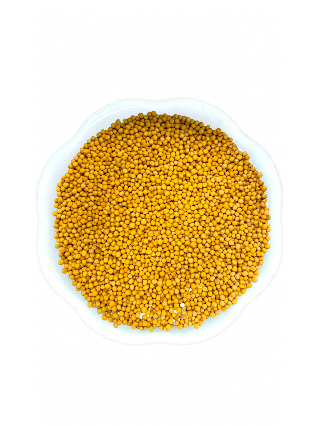 The Mustard Seeds☆Mustard Seeds Organic Zing Yellow Mustard Seeds | Whole Yellow Mustard