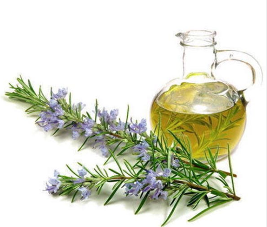 Rosemary Mint Hair oil