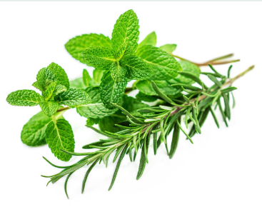 Rosemary Mint Hair oil