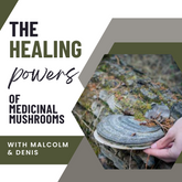The Healing Powers Of Medicinal Mushrooms