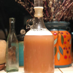 Bee Your Own Brewer: Learn How to Make Probiotic Healing Herbal Honey Wine - March 8th