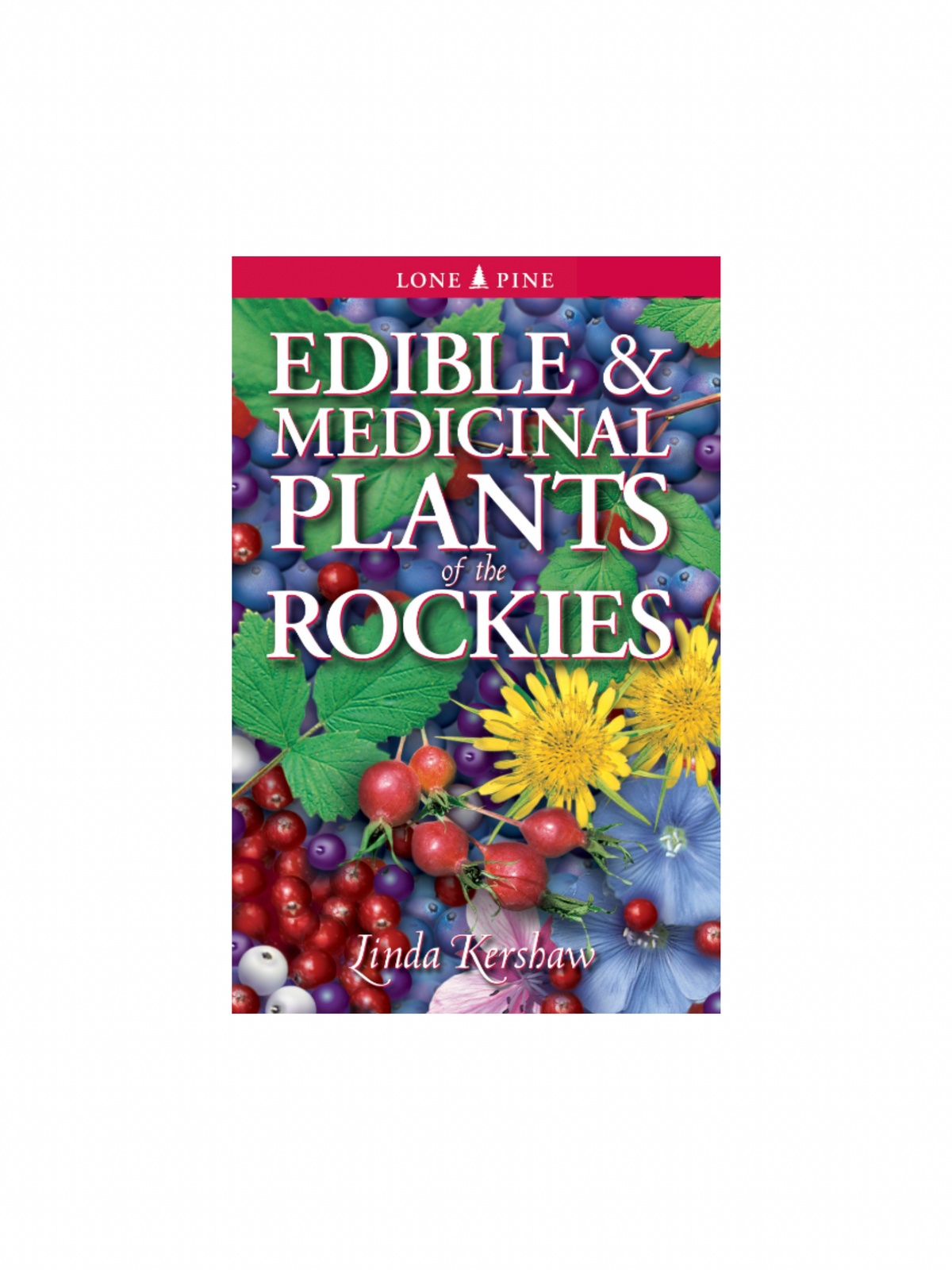 Edible & Medicinal plants of the Rockies Book