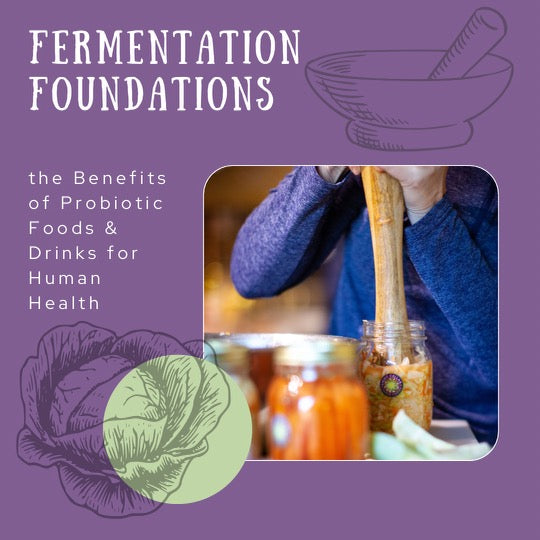 Fermentation Foundations: The Role & Benefits of Probiotic Foods & Drinks for Health